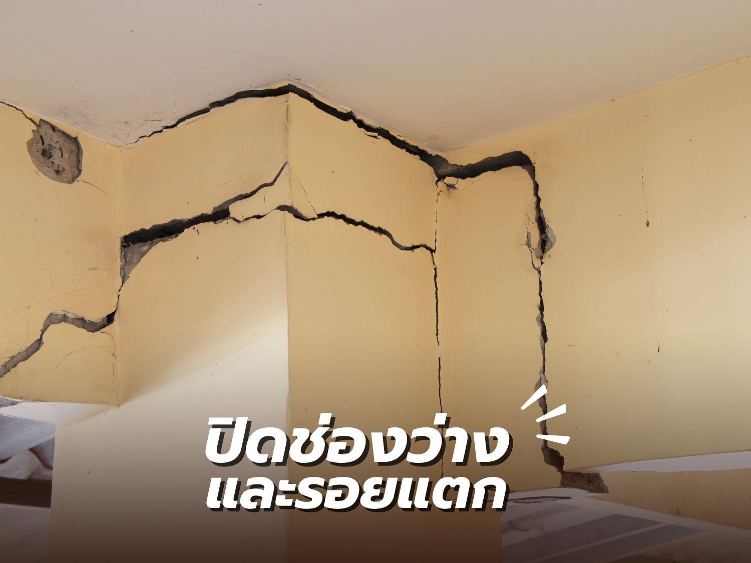 สัตว์ร้าย หน้าฝน2.jpg